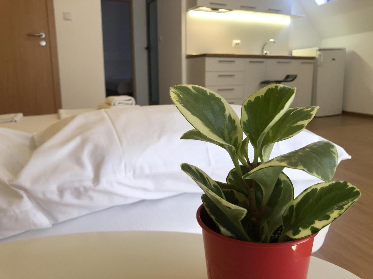 Aparthotel Elly Pomorie Luaran gambar
